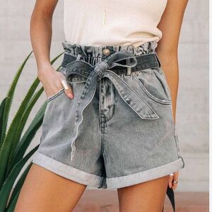 Vervet by Flying Monkey Paperbag Shorts in Gray